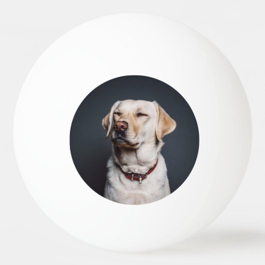 写真のアップロード 卓球ボール (正面)