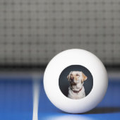 写真のアップロード 卓球ボール (ネット)