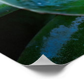 写真のアートワーク – 常緑植物 ポスター (角)