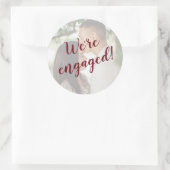 写真のエンベロー婚約したプ ラウンドシール (バッグ)