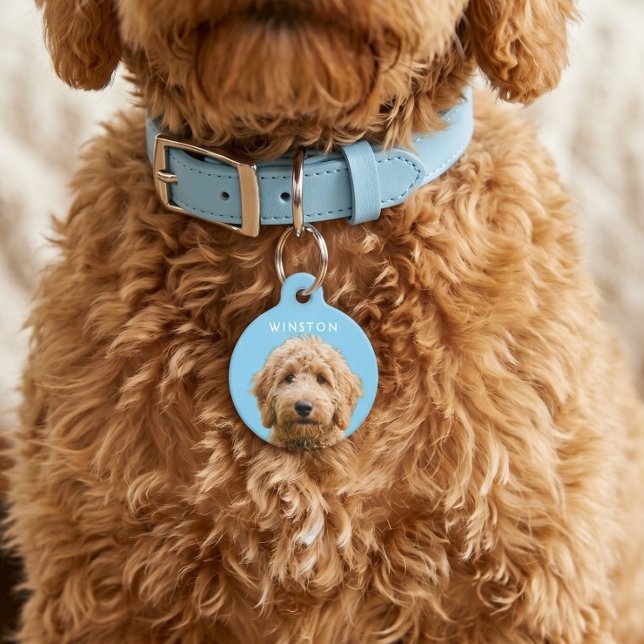 写真のオーダーメイド犬の名前 - 説明文をお読みください ペット　ネームタグ (Photo Personalized Dogs Name - READ DESCRIPTION Pet ID Tag by Ricaso - Easy remove background )