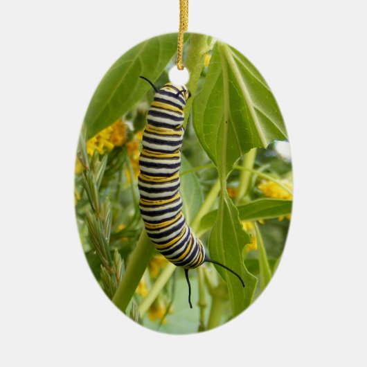 写真のオーナメント セラミックオーナメント (正面)