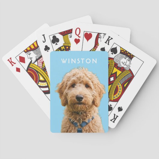 写真のオーナー犬の名前 - 説明文を読んでください トランプ (裏面)