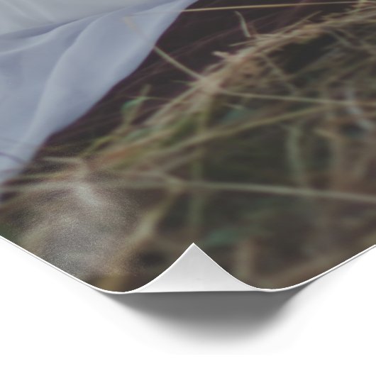 写真のカスタマイズパーマ結婚ナリの写真 ポスター (コーナー)