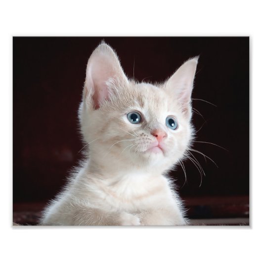 写真のカスタムプリント フォトプリント (正面)