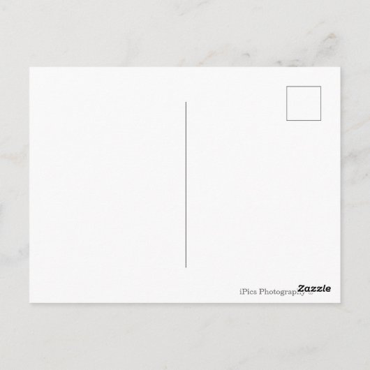 写真のコラージュSicilyとキス ポストカード (裏面)