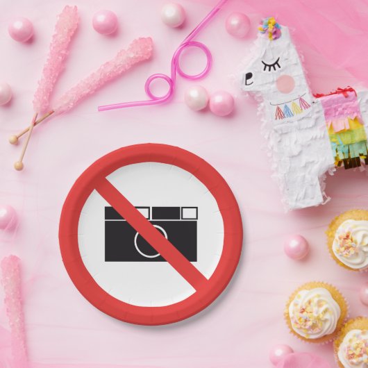 写真のサインなし ペーパープレート (パーティー)