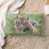 写真のタイガー猫動物。装飾用クッション ランバークッション (ブランケット)