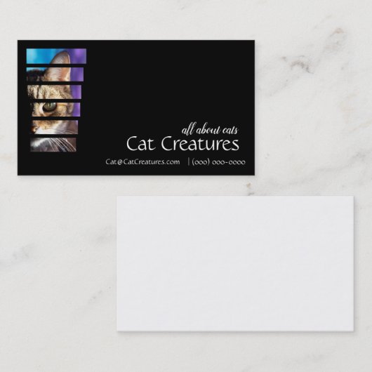 写真のタビー猫 名刺 (正面/裏面)