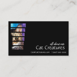 写真のタビー猫 名刺