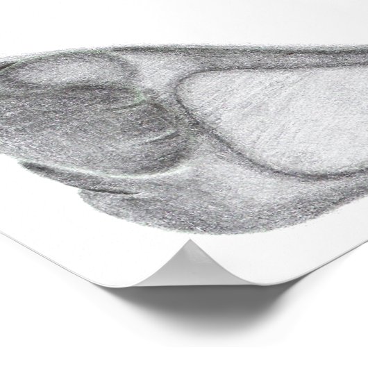 写真のパンダベアシェフ ポスター (角)