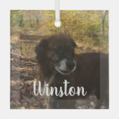 写真のパーソナライズされた白い文字 ガラスオーナメント (正面)