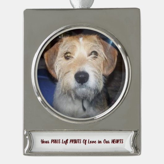 写真のポーズ オブ グレイス 思い出の宝物 シルバープレートバナーオーナメント (正面)