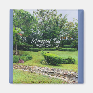 写真のマグネットはマホガニー湾，ロアタン，ホンジュラス マグネット