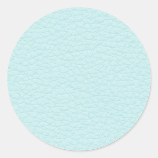 写真のライトターコイズレザー。 ラウンドシール (正面)