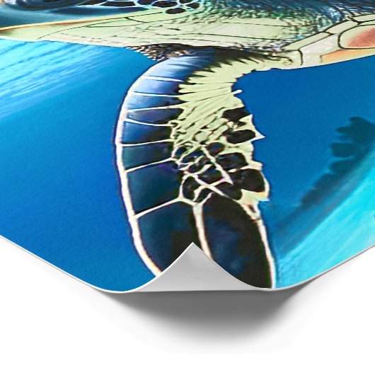 写真のリアルなウミガメ 救ウミガメ ポスター (角)