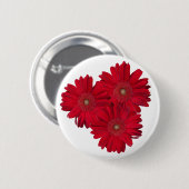 写真の上の赤いガーベラのデイジーの終わり 缶バッジ (正面&裏面)