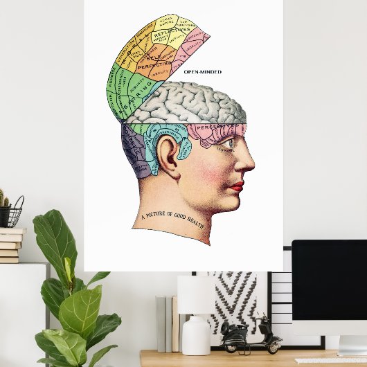 写真の健康の大きなアーカイブのマットプリント ポスター (ホームオフィス)