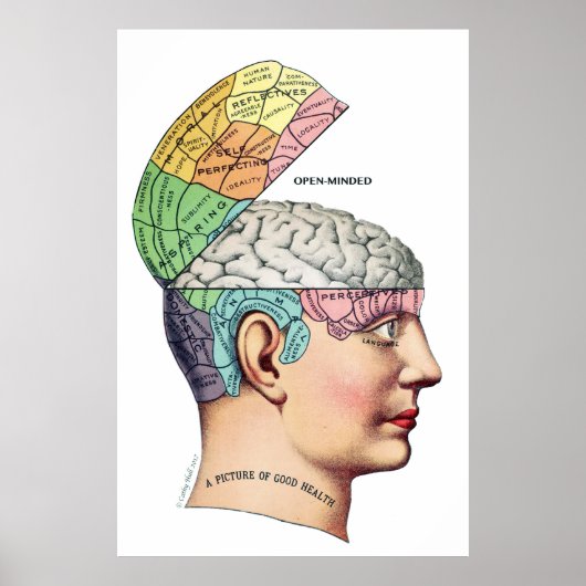 写真の健康アーカイブのマットポスター ポスター (正面)