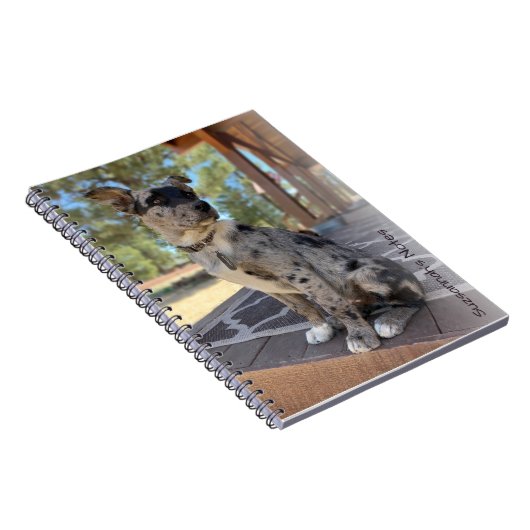 写真の可愛らしい牛の犬のプレースホルダを追加 ノートブック (右側)