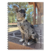 写真の可愛らしい牛の犬のプレースホルダを追加 ノートブック (正面)