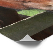 写真の四方馬プリント ポスター (角)