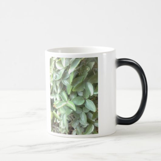 写真の変形させるマグ モーフィングマグカップ (右)