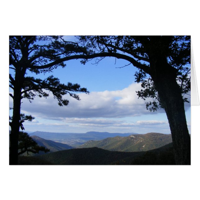 写真の完全な眺め (正面横)