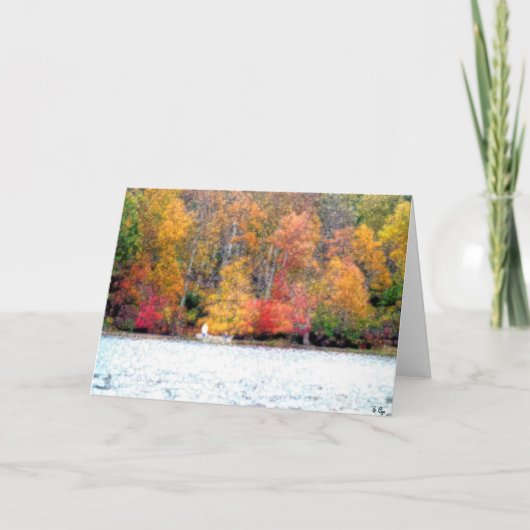 写真の完全な魚釣り カード (正面)