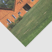 写真の完璧な馬の厩舎がマニキュアの芝生に 薄葉紙 (詳細)