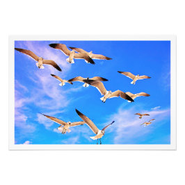 写真の拡大 フォトプリント           