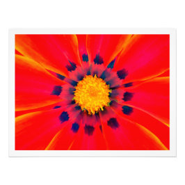 写真の拡大 フォトプリント