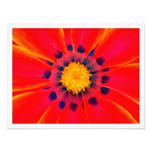 写真の拡大 フォトプリント            (正面)