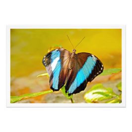 写真の拡大 フォトプリント           