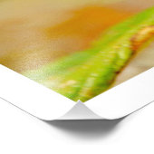 写真の拡大 フォトプリント            (角)