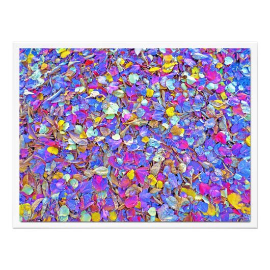 写真の拡大 フォトプリント            (正面)