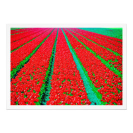 写真の拡大 フォトプリント