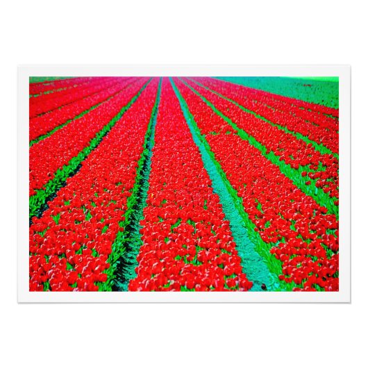 写真の拡大 フォトプリント            (正面)