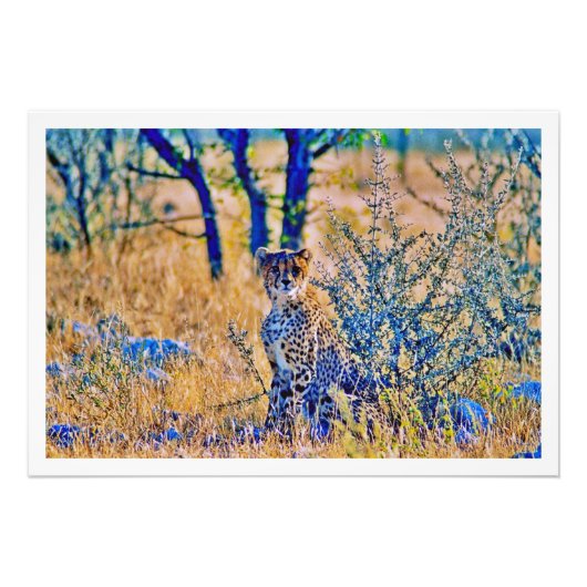 写真の拡大 フォトプリント            (正面)