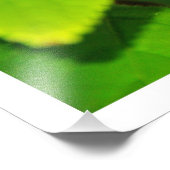 写真の拡大 フォトプリント            (角)