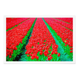 写真の拡大 フォトプリント