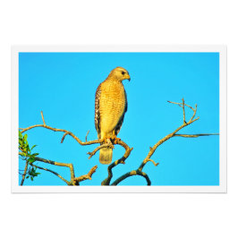 写真の拡大 フォトプリント           