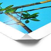 写真の拡大 フォトプリント            (角)