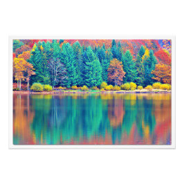 写真の拡大 フォトプリント           