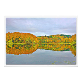 写真の拡大 フォトプリント           