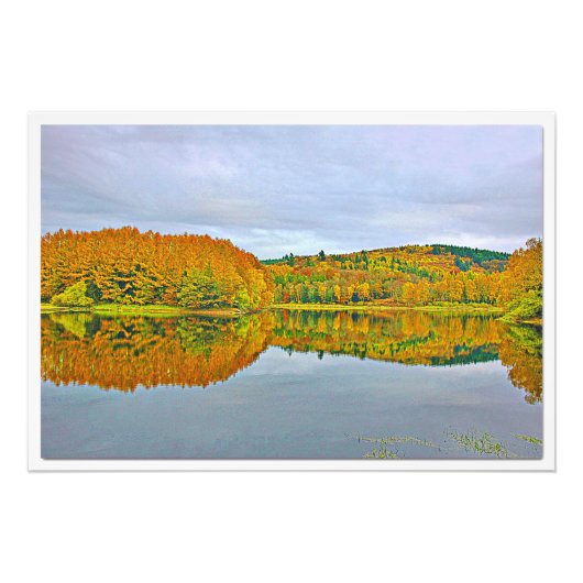 写真の拡大 フォトプリント            (正面)