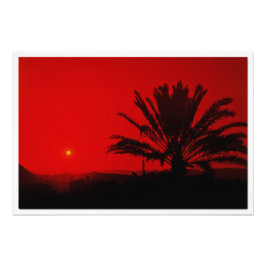 写真の拡大 フォトプリント           