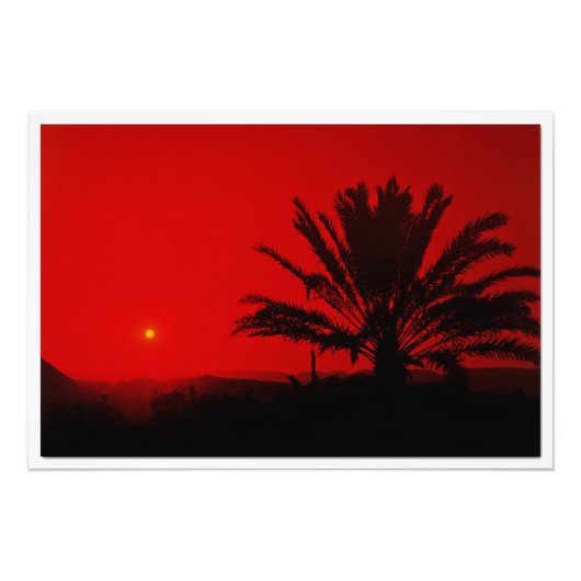 写真の拡大 フォトプリント            (正面)