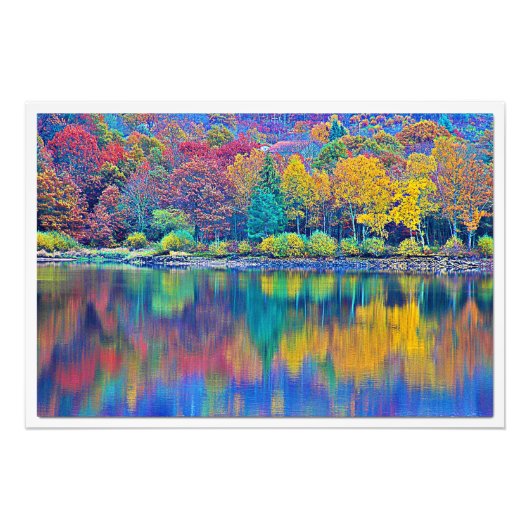 写真の拡大 フォトプリント            (正面)