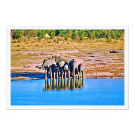 写真の拡大 フォトプリント           